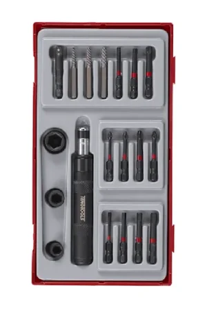 Juego de puntas de atornillar Teng Tools de 19 piezas, puntas Hexagonal, Phillips, Pozidriv, Torx Directo De Fábrica