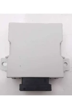 Envío Exprés MODULO ELECTRONICO 150696
