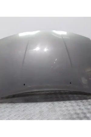 Nuevo Modelo CAPOT GRIS